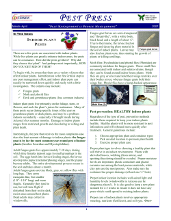 Indoor Plant Pests - University of Arizona