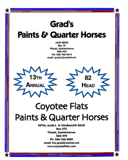 docs jack of hearts – aqha
