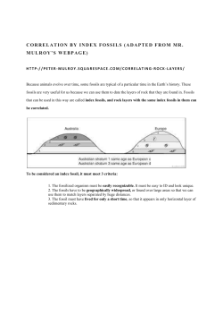 Index Fossil Characteristics and Correlation