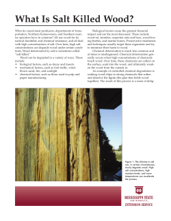 P2662 What Is Salt Killed Wood? - St. Johns County Extension Office