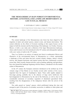 the mesoamerican rain forest environmental history - POLI-RED
