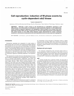 Cell reproduction: induction of M-phase events by cyclin