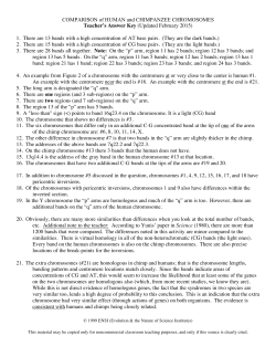 COMPARISON of HUMAN and CHIMPANZEE CHROMOSOMES