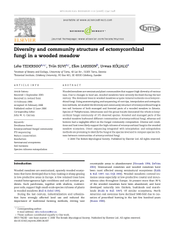 Diversity and community structure of ectomycorrhizal fungi in a