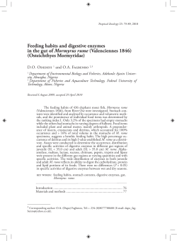 Feeding habits and digestive enzymes in the gut of