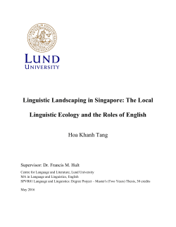 Linguistic Landscaping in Singapore: The Local Linguistic Ecology