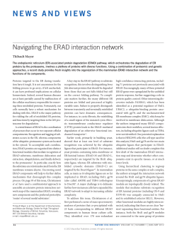 Navigating the ERAD interaction network