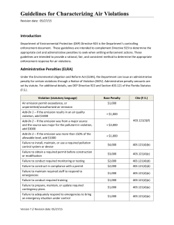 Guidelines for Characterizing Air Violations