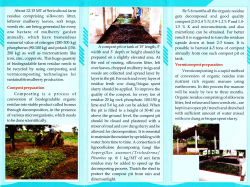 one hectare of mulberry garden