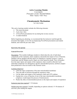 PoL2e ALM-Chemiosmotic Mechanism Module