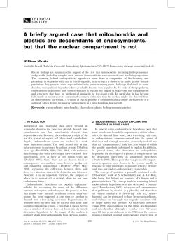 A briefly argued case that mitochondria and plastids are