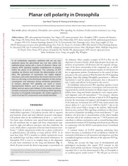 Organogenesis - The Jenny Lab