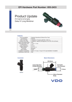 Siemens Injector Datasheet