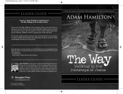 The Way Leader Guide
