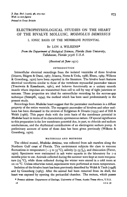 electrophysiological studies on the heart of the bivalve mollusc