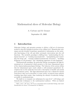 Mathematical slices of Molecular Biology