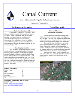 Canal Current - City of Cape Coral