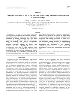 Mitochondrial responses to thermal change