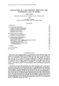 REGULATION OF A MULTIPOTENT STEM CELL, THE