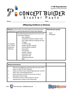 CONCEPT BUILDER