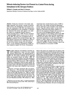 Mitosis-inducing Factors Are Present in a Latent