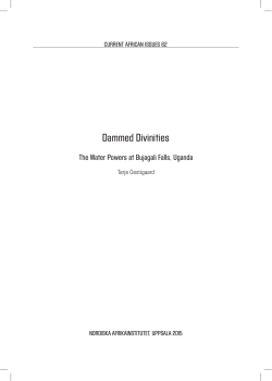 The Water Powers at Bujagali Falls, Uganda