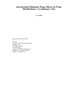 Interpreting Minimum Wage Effects on Wage Distributions: A