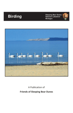 Birding at Sleeping Bear Dunes 033111