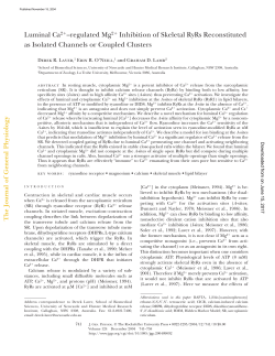 Luminal Ca2 &ndash;regulated Mg2 Inhibition of Skeletal RyRs