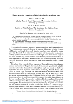 Experimental resection of the intestine in newborn pigs