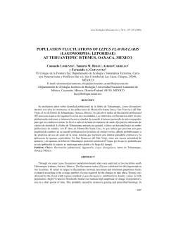 population fluctuations of lepus flavigularis