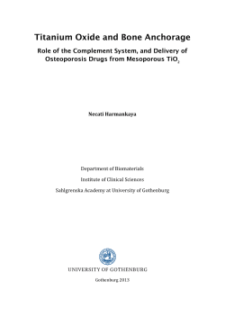 Titanium Oxide and Bone Anchorage