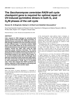 The Saccharomyces cerevisiae RAD9 cell cycle