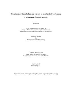 Direct conversion of chemical energy to mechanical work using a