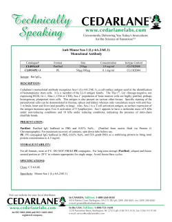 Anti-Mouse Sca-1 (Ly-6A.2/6E.1) Monoclonal Antibody
