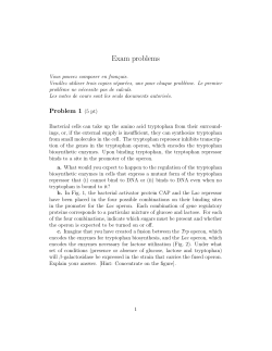 Exam 2013