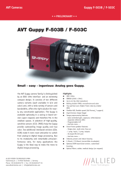 AVT Guppy F-503B / F-503C