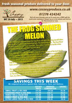 the frog skinned melon