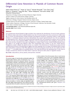 Differential Gene Retention in Plastids of Common Recent Origin
