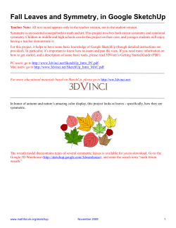 Fall Leaves and Symmetry, in Google SketchUp