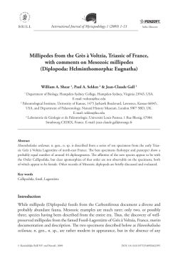 Millipedes from the Gr&egrave;s &agrave; Voltzia, Triassic of France, with comments