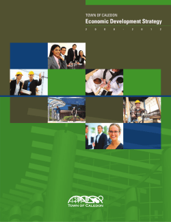 Economic Development Strategy