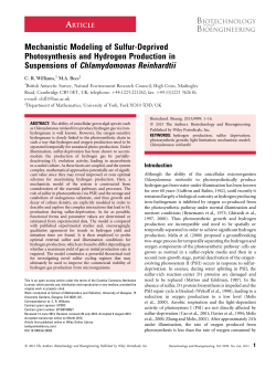Mechanistic modeling of sulfurdeprived photosynthesis and