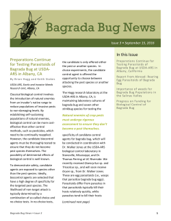 third edition of the Bagrada Bug News
