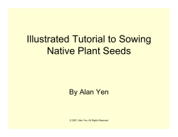 Illustrated Tutorial to Sowing Native Plant Seeds