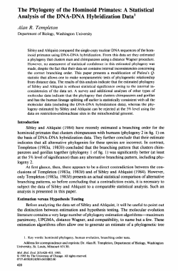 The Phylogeny of the Hominoid Primates: A