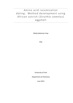 Amino acid racemization dating: Method development using African