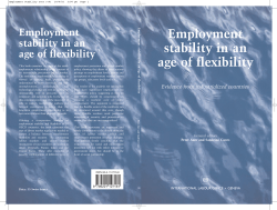 Employment stability in an age of flexibility