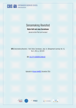 robin_holt_sensemaking_revisited_postprint