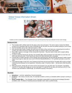 Global Voices Information Sheet
